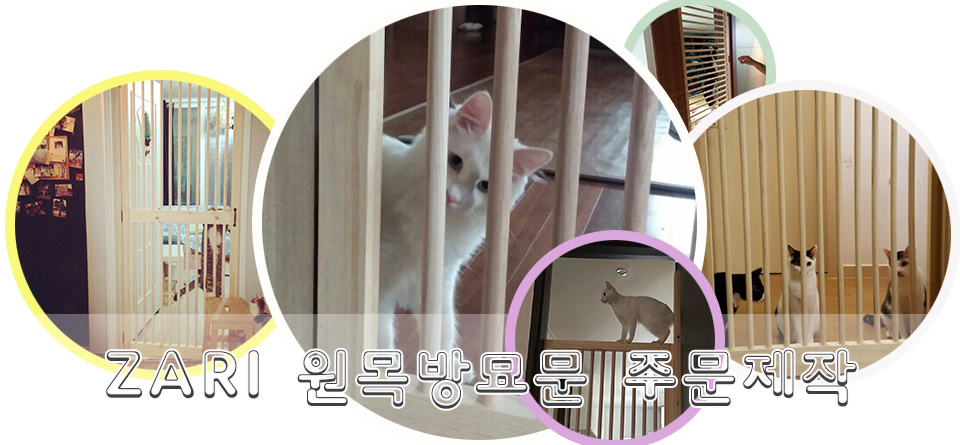 메인 상단이미지